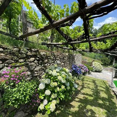 Casa vacanze Casa Nonno Nacleto Vercana